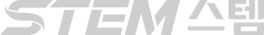 스템